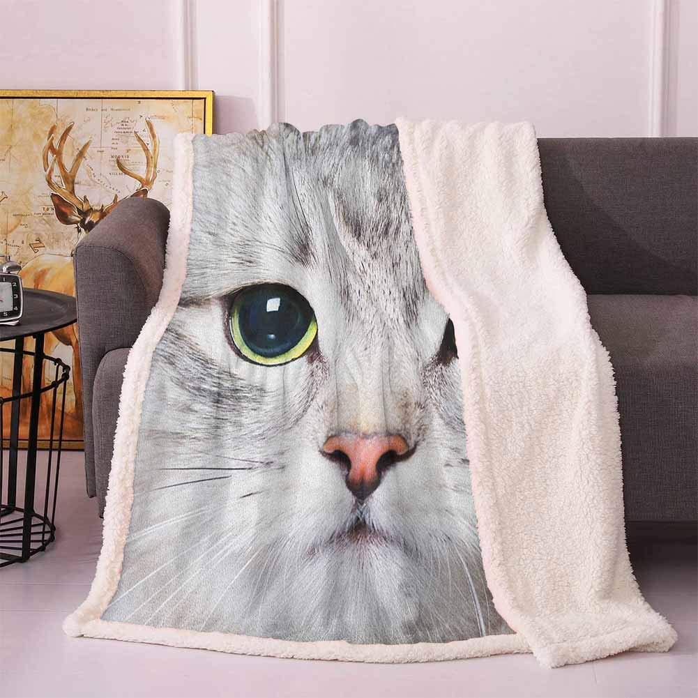 waterproof pet carrier