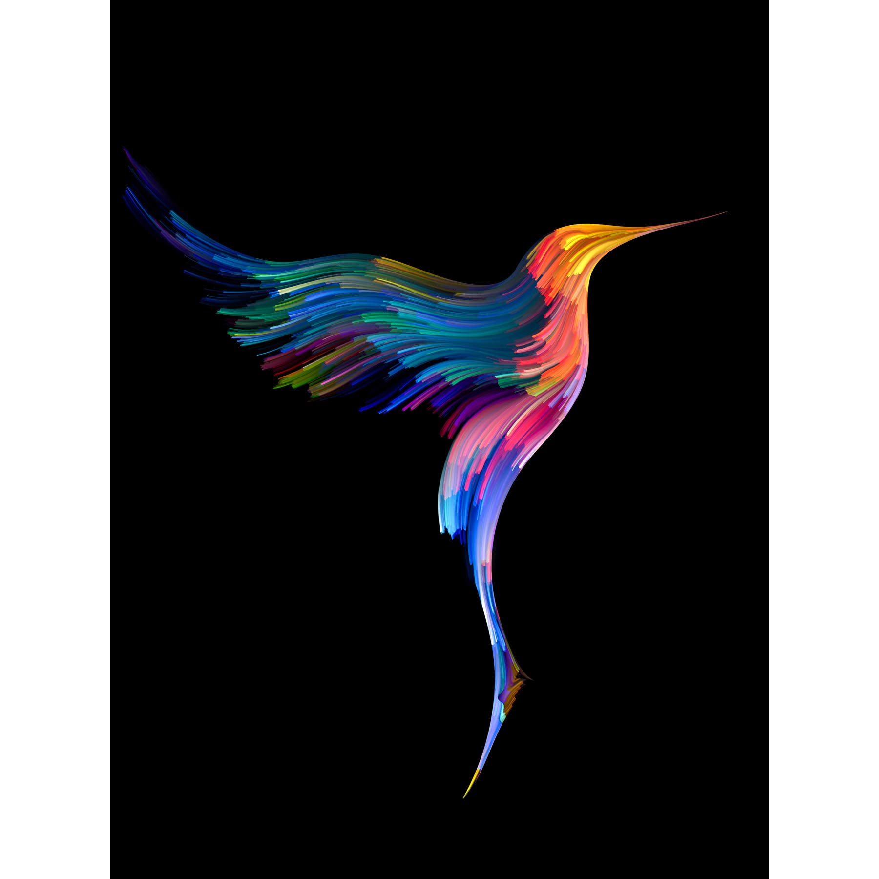 Hummingbird Colourful On Black Large Wall Art Print Canvas Premium Poster
