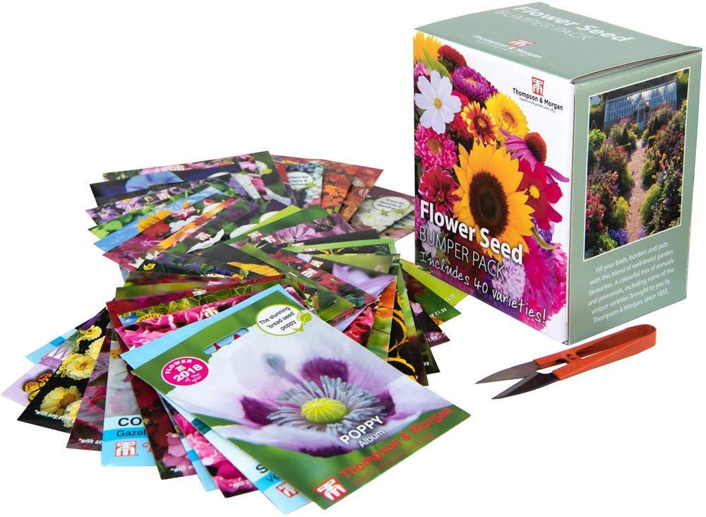 Flower Seed Box Bumper Pack Includes 40 Different Varieties Aster, Cosmos, Sunflower, Poppy, Pansy and More Plus 1 Pair of Garden Snips, 1 x Flower Seed Bumper Pack by Thompson and Morgan