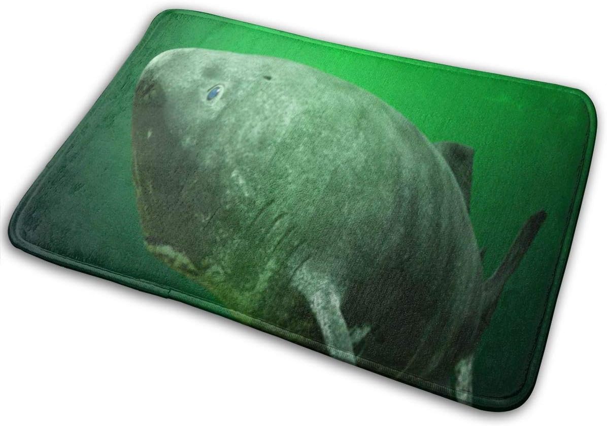 DGbanma Door Mat Outside,Indoor Doormat Front Door Mat Non Slip Door Mats 24x16 Inch Atlantic Green Aquatic Greenland Shark Near Ocean Oldest Ground Somniosus Nature Arctic Attack