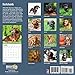 Dachshunds 2018 16 Month Wall Calendar 12 x 12 inches Bright Day Calendars Publishing