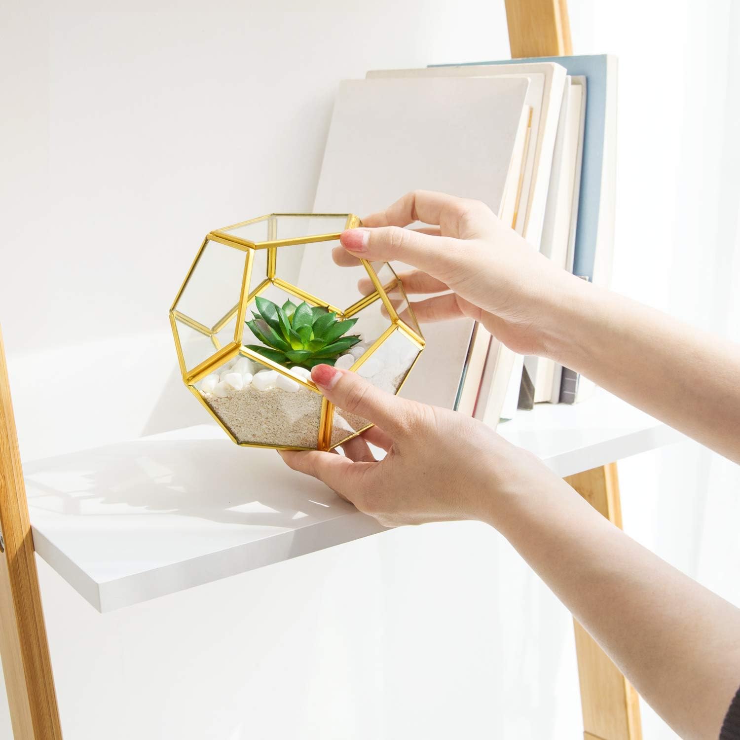 Mkono Mini Glass Geometric Terrarium Container Set of 3 Modern Tabletop Planter Windowsill Decor Shelves DIY Display Box Centerpiece Gift for Succulent Air Plant Miniature Fairy Garden, Gold, 4": Garden & Outdoor