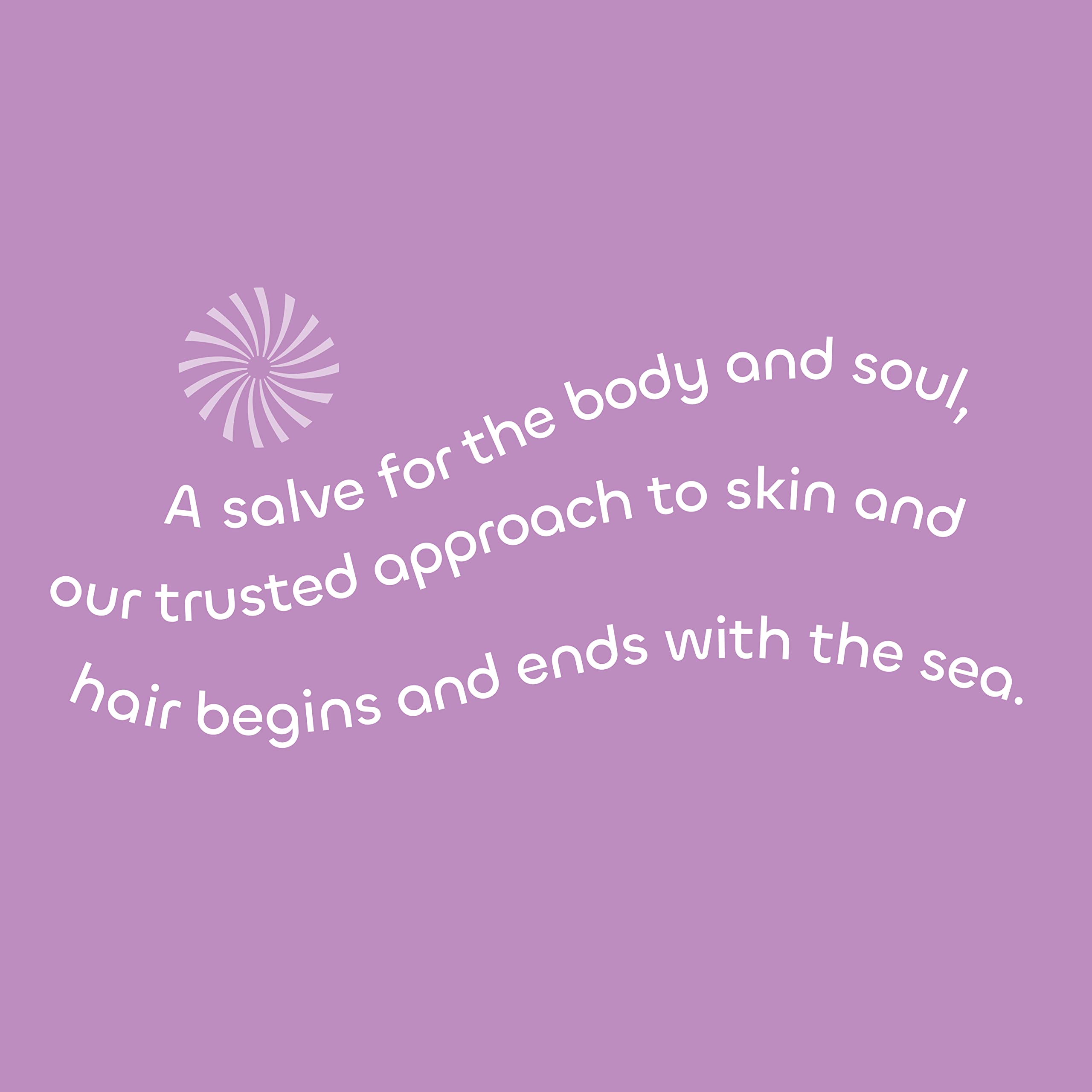 Seaweed Bath Co. Volumize Conditioner, Lavender Scent, 12 Ounce, Sustainably Harvested Seaweed, Green Algae, Barley Protein, For Normal to Fine Hair