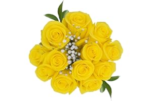 GlobalRose Fresh Dozen Yellow Roses & Fillers - Fresh Flowers Bouquet for Mother's Day