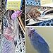 Fly Fishing Flies Realistic Dry Wet Nymph Trout Flies Hand Tie Lures Kits 12/26/48 Pcs (4-Cicada kit 12pcs)