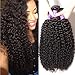 ALI JULIA Hair 3-pack Bundles 10A Malaysian Virgin Curly Hair Weft Unprocessed Human Hair Weft Extensions Natural Color (20 22 24 inch)