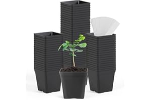June Fox Square Nursery Pots 3.3 Inches Flexible Plastic Seedling Pots Square Pots for Plants, Succulent, Flower, Pack of 100, with 100 PCS Plant Labels