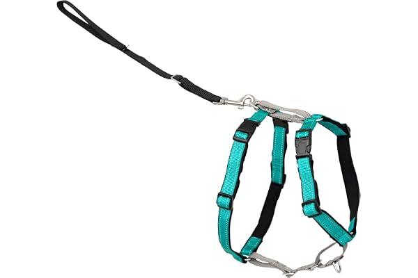 Petsafe 3 In 1 Harness - Fully Adjustable No-pull Dog Harness - From the Makers of the Easy Walk Harness - Small, Teal | Rest