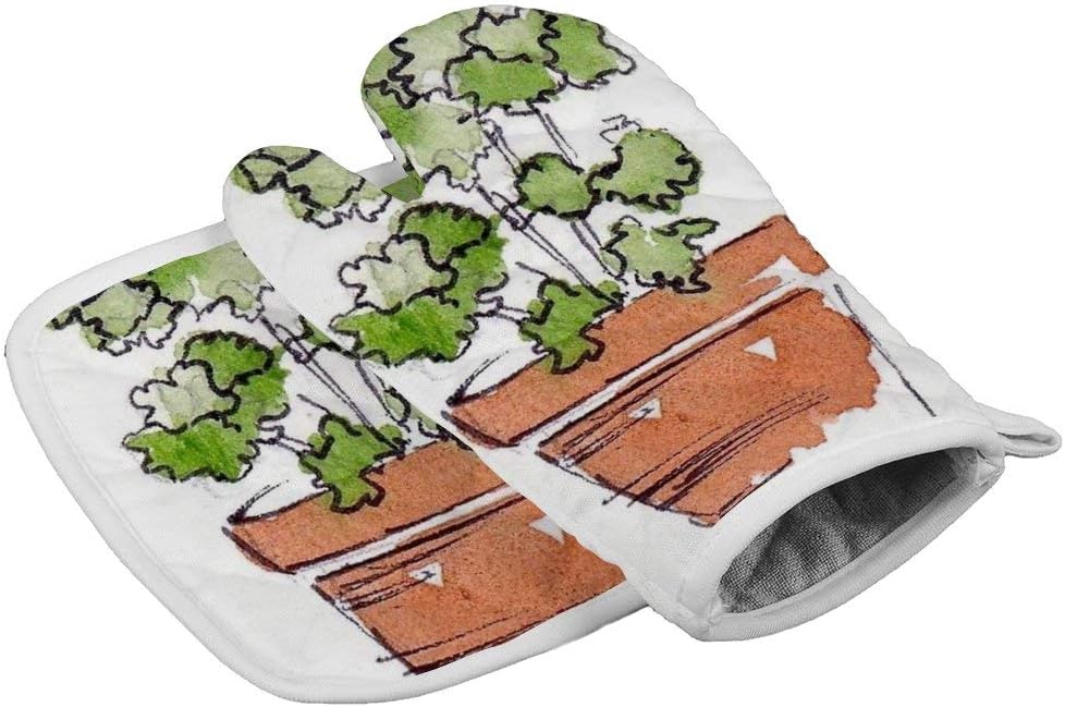 Insulation Gloves Herbs in Pots - Parsley -up Heat Resistant Kitchen Pot Holder and Oven Mitt Set for bbqmicrowave Oven