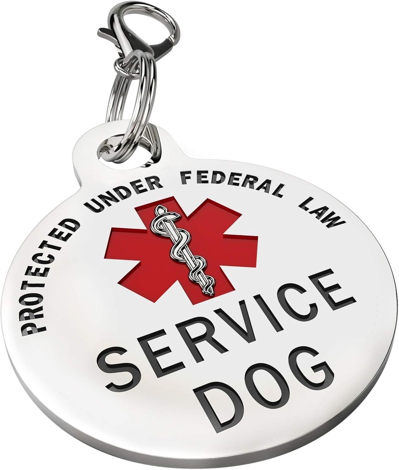 patterdale terrier puppies for sale near me