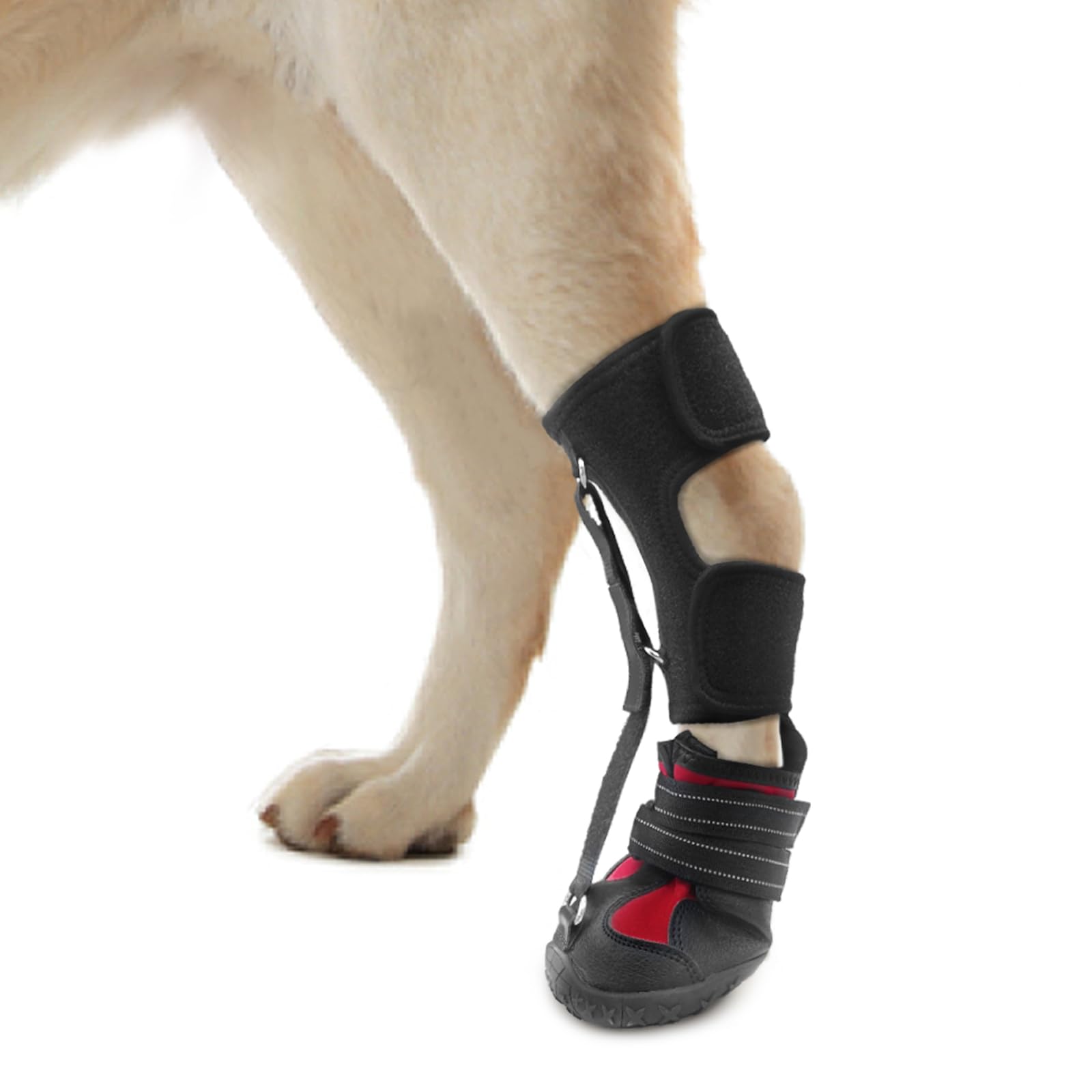 Photo 1 of Strap-On Drop Foot Brace (No Knuckling Boot Brace) for Dogs— Corrective Dog Shoes to Safely Lift Toes for Foot Issues, Arthritis, and improving Walking gait in Dogs(M)