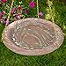 Whitehall Products Dragonfly Hanging Birdbath, Copper Verdi