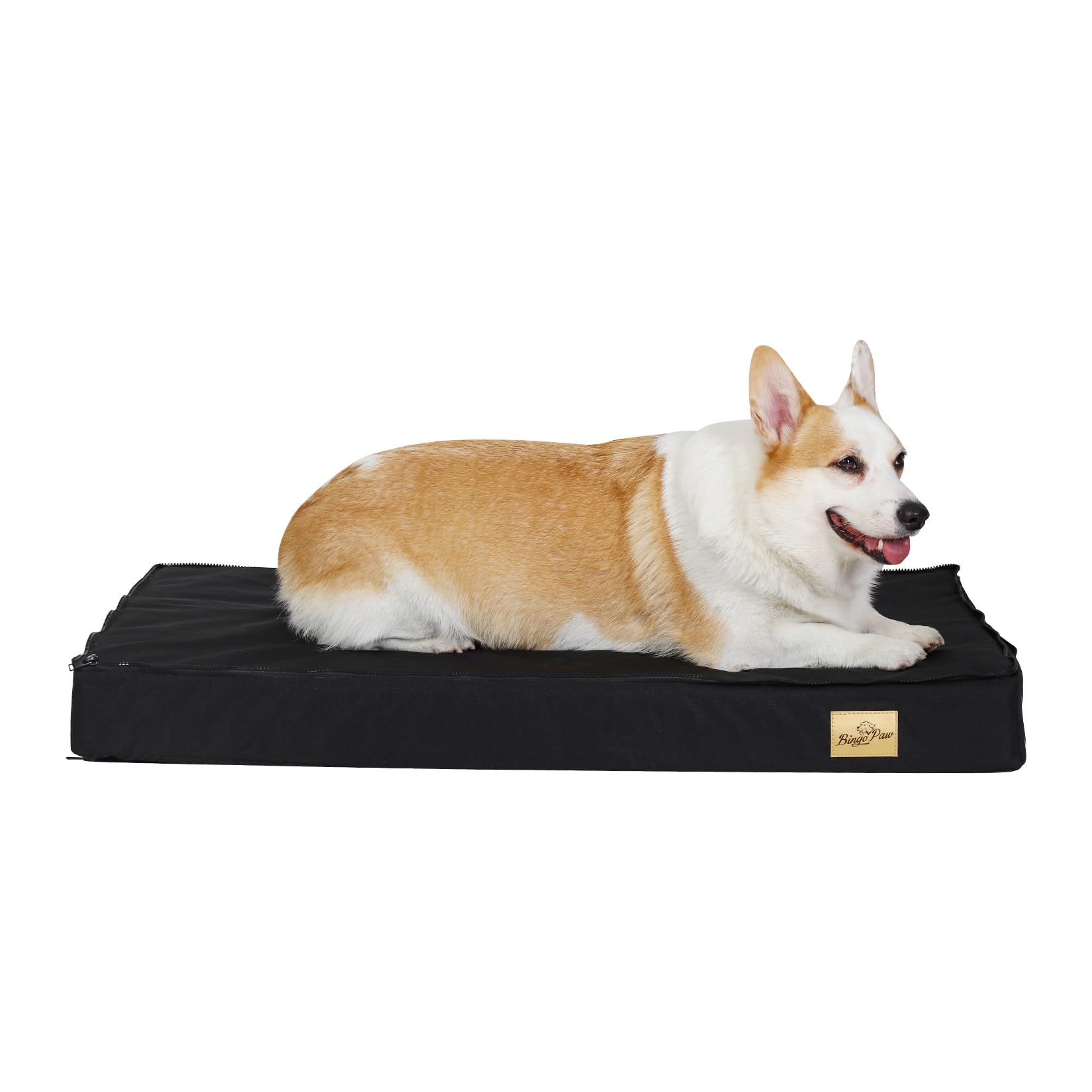 BingoPaw Dog Crate Bed Mat: Orthopedic Memory Foam 30inch Pet Cage Mattress Cushion with Removable Washable Waterproof Cover Grey M (78x48x8cm)