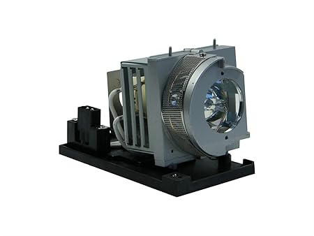 Optoma SP.72701GC01 Original Ersatzlampe mit Gehäuse