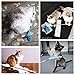 Pidan Studio Cat Feather Teaser Wand - Interactive Fun 100% Cat Kitten Friendly Superior Quality Premium Goose Feather