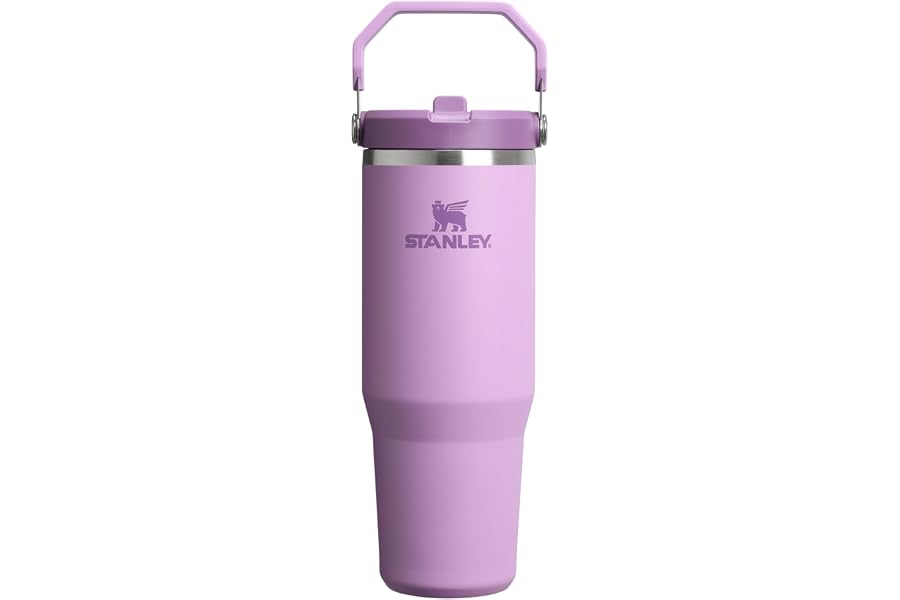 STANLEY IceFlow 2.0 Flip Straw Tumbler, 30 oz, Lilac | Easy Carry Handle | Twist On Lid and Flip Up Straw | Leak Resistant Water Bottle | Insulated Stainless Steel | BPA-Free