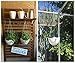 Garden Pots 2 Set, Petforu Hanging Flower Basket Empty Flowerpot Plant Hooks Hangers - White