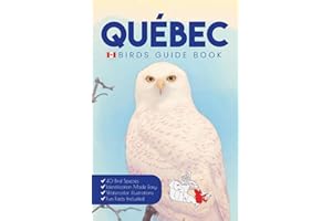 Quebec Birds Guide Book. A Canada Bird Identification Field Guide and Pocket Book for Young Birdwatchers and Ornithologists.