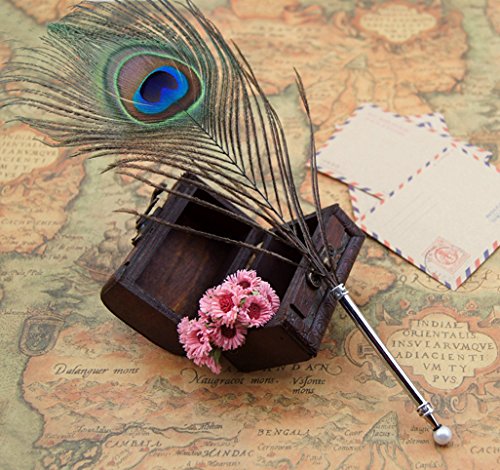 MFC ONLINE Vintage Peacock Feather Ballpoint Pen Refined Queling Pen Quill Pen Ballpoint Pen (1*Single Eye Peacock Feather Ballpoint Pen +5* Replaceable Refills)