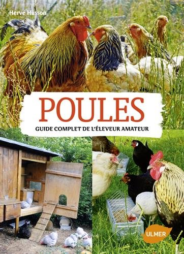 Construire Son Poulailler Conseils Et Astuces Jardingue