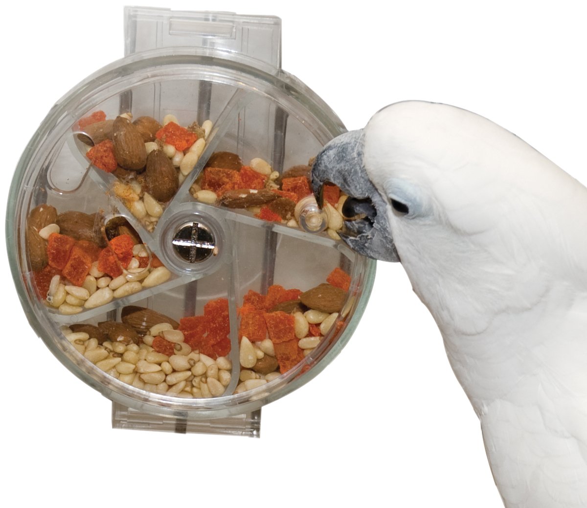 featherland paradise