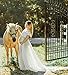 Saslax Maternity Split Front Sheer Chiffon Maternity Gown Maxi Bridesmaid Dress for Photos Shoot White M