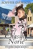Chasing Norie (Stones Creek Book 2) by Sophie Dawson