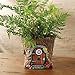 SIGNALS Fairy Door in Tree Stump Planter - Fairy Garden Tree Trunk Cement Flower Pot/Garden Planter Lawn Ornament