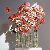 Hinged Flower Vase 8 Crystal Glass Test Tube Desktop Propagation Station for Plant Glass Tubes Hydroponic Vase for Indoor Office Home Garden Decor (8pcs)