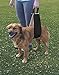 All Seasons Dog Lift Harness for Post-Op Surgery of Weak Hind Legs (Black)