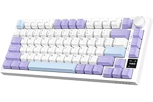 Purple (Gift Switch)