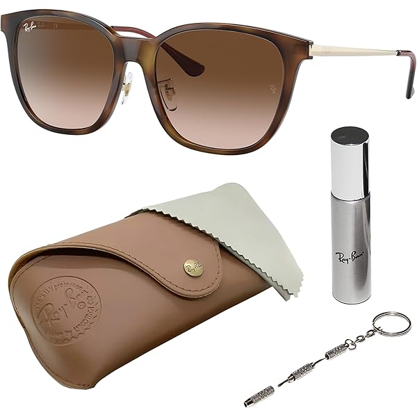 Amazon.com: Ray-Ban RB2289 Mega Balorama Sunglasses, Black/Green