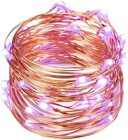 ALight House Christmas DC12V 32.8feet 100led Led Copper RGB Wire String Fairy Lights for Party Festive Garden Patio Holiday (Purple)