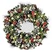 NATIONAL Tree COMPANY 24 Inch Crestwood Spruce Wreath with Silver Bristles, Cones, Red Berries and 50 Battery Operated Soft White LED Lights (CW7-306-24W-B)