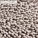 VDOMUS Contour Bath Rug, Soft Shaggy U-shaped Toilet Floor Mat Bathroom Carpet, 19.5 X 19.5 inches - Beige