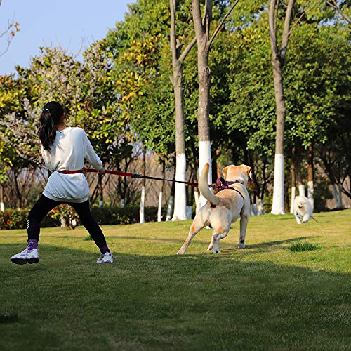 5-8Ft Dog Leash 6-in-1 Multifunctional Heavy Duty Leash with Soft Padded Traffic Handle and Highly Reflective Threads, Shock Absorbing Bungee Leash Rope with Car Seat Belt for Medium and Large Dogs