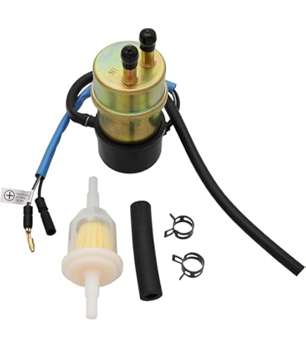 Amazon.com: 49040-1055 Electric Fuel Pump 12V, Replaces for