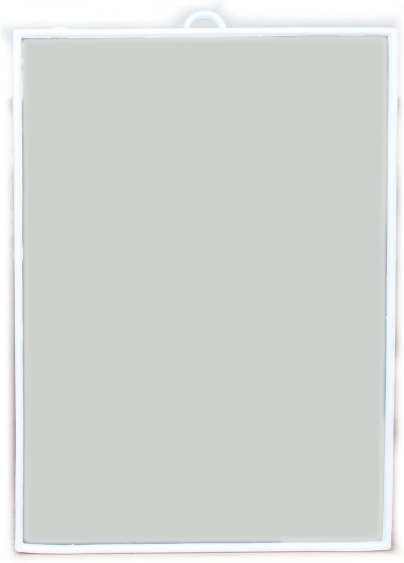 West5ProductsBasic & Handy Slim Hanging Wall Mirror in White