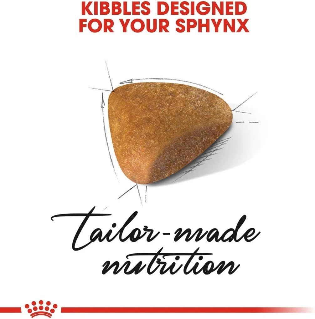 royal canin sphynx amazon