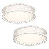 VICNIE Light Fixtures Ceiling 2 Pack, 12 inch 20W