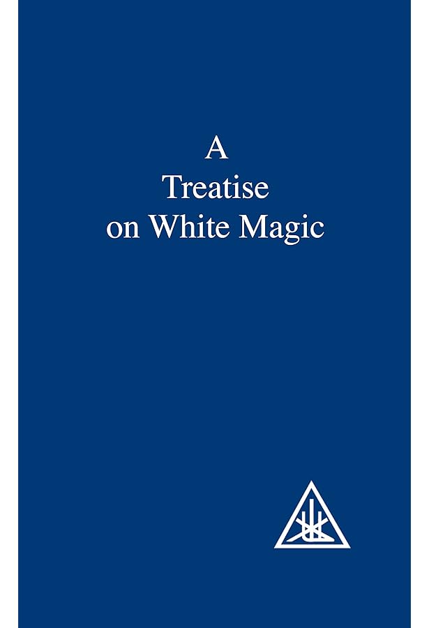 洋書 EXTERNALISATION OF THE HIERARCHY/Bailey Amazon.com: The Externalisation of the Hierarchy