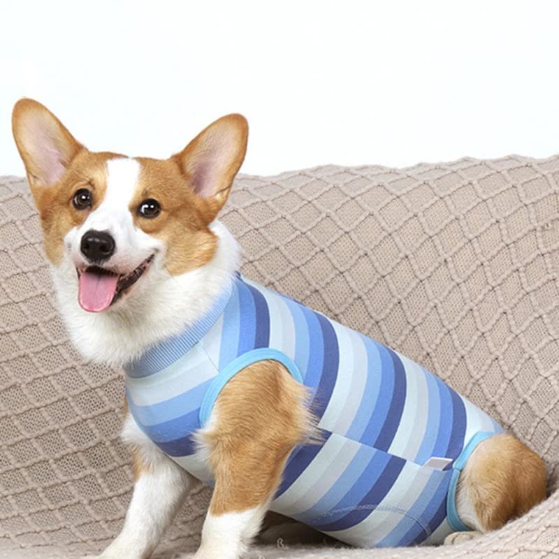 My Furry Friend Dog Surgery Recovery Suit for After Surgery Male/Female Dogs | Pet Recovery Shirt | Puppy Surgical Clothes Abdominal Wounds Protector | Dog Post-Operative Vest (XL, Blue)
