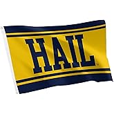 Desert Cactus University of Michigan Flag - 3 x 5 Feet UM Wolverines Banner, Indoor/Outdoor Durable Fabric Display (Design L1)