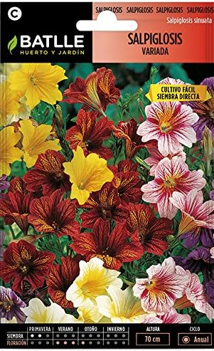 Semillas de Flores - Salpiglosis variada - Batlle: Amazon.es: Jardín