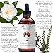 Laritelle Organic Hair Loss Prevention for Men & Women 4 oz | Fortifying, Strengthening & Rejuvenating | Prevents Hair Shedding, Promotes New Hair Growth & Scalp Health | GMO-free. Vegan