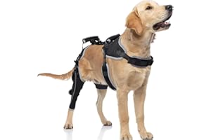 Dog Knee Brace for Torn ACL Hind Leg, Hinged Dog Leg Braces Brace, Wrap Harness Set Hip Dysplasia Support for Leg Wound Care 