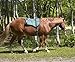 Best Friend Western Style Bareback Saddle Pad