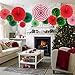 Hanging Party Decorations Set Tissue Paper Fan Paper Pom Poms Flowers and Honeycomb Ball for Christmas Wedding Engagement Graduation Party Decor Green Red Kit