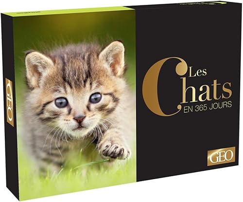 Download Calendrier Géo - Chats en 365 jours PDF