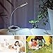 Anpress Flexible Gooseneck Style 4-LED Mini Solar Table Lamp / PC USB Charger LED Portable Lamp / Solar Bulbs Light / Solar Indoor Reading lighting (White)